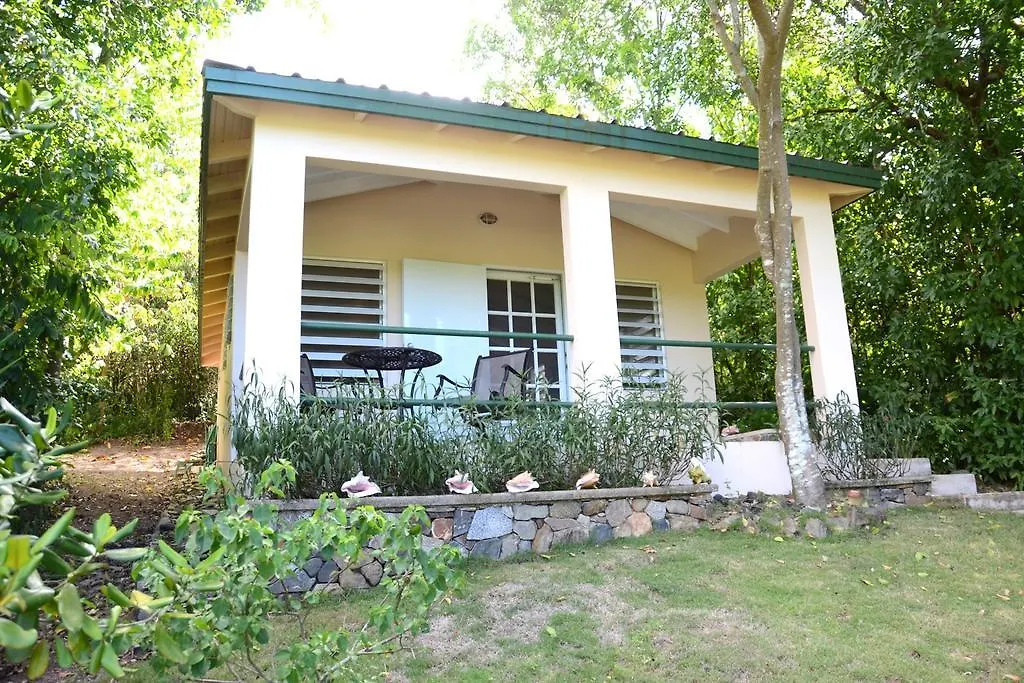 Oreanda Colonia Puerto Real 0*,  Puerto Rico